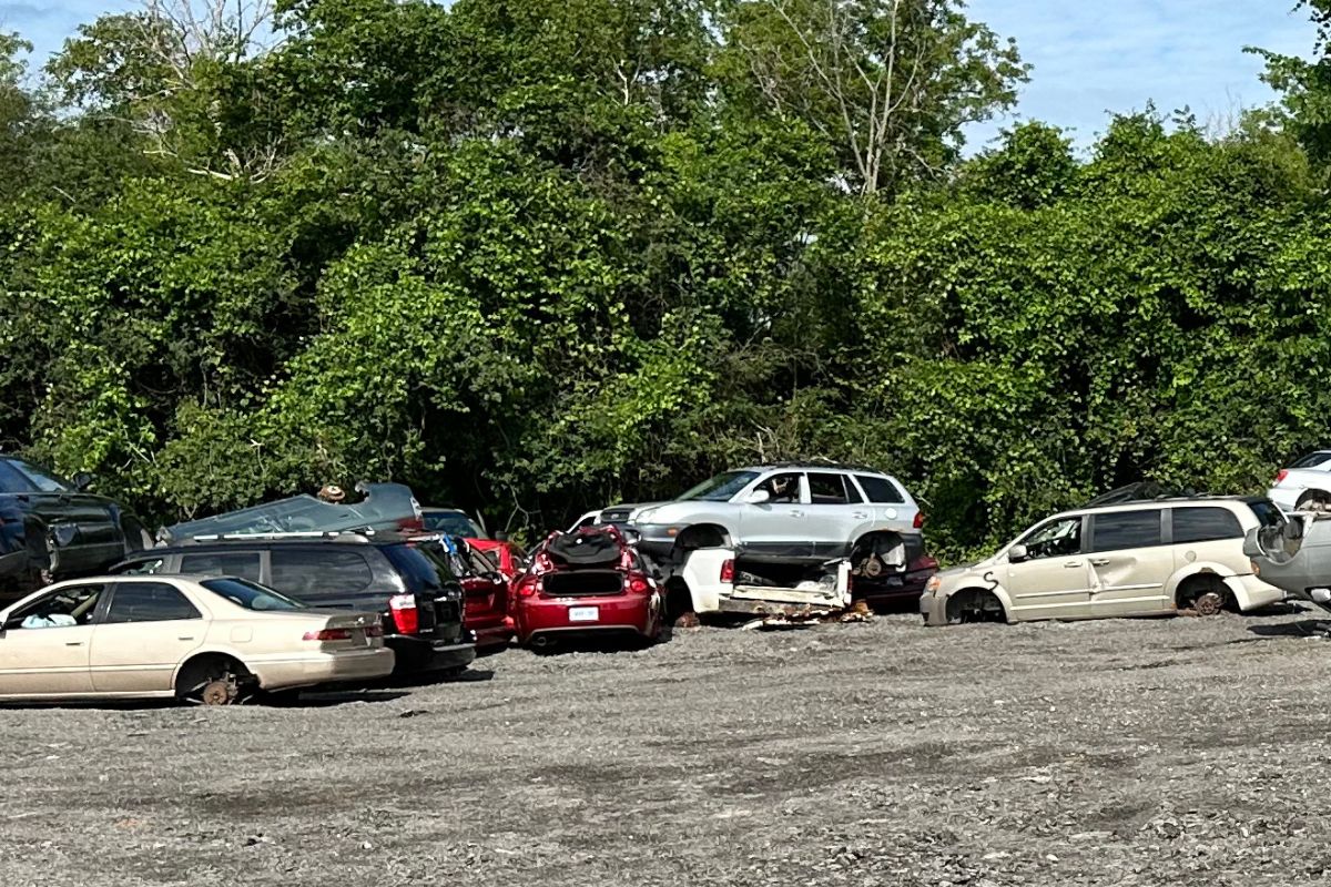 Junk Car Depollution Science Behind Junk Car Depollution