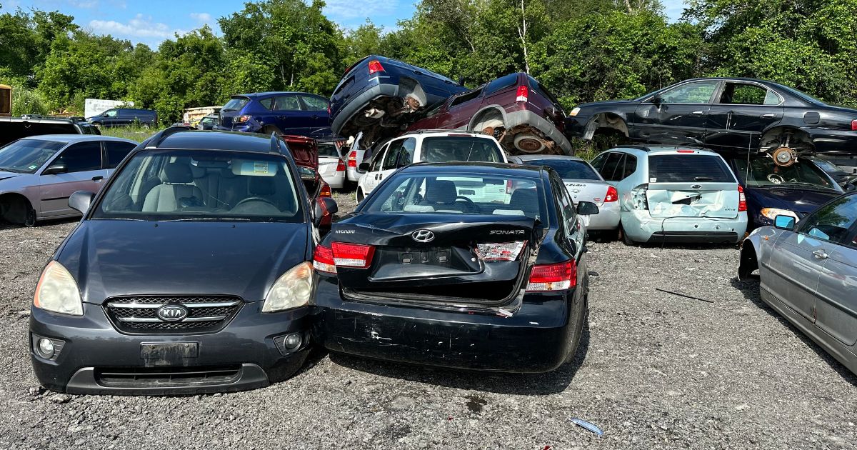 Kia and Hyundai Sedans queued for scrap car pickup in Toronto.