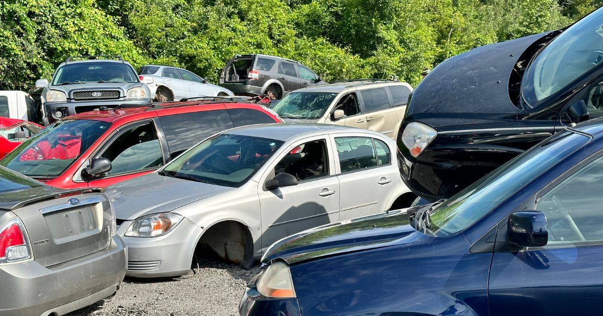 Crashed junk cars in Toronto's scrap yard ready for dismantling.