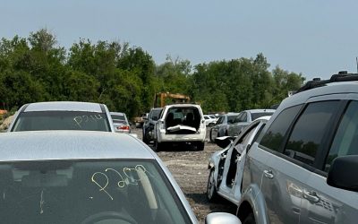 4 Interesting Facts About Car Scrapping and the Salvage Industry