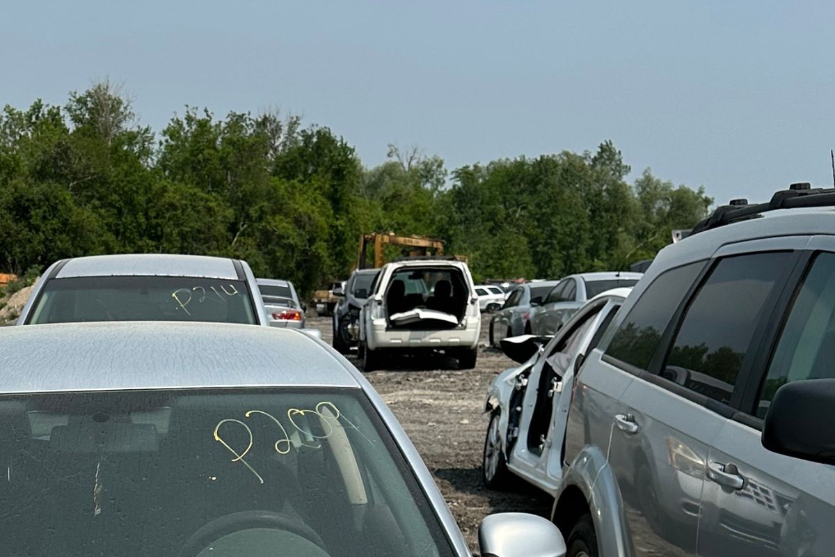 Interesting Facts About Car Scrapping and the Salvage Industry
