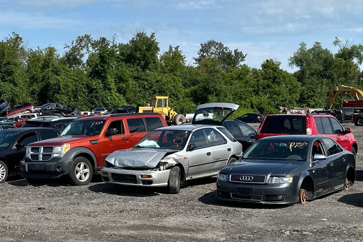 Illegal Car Scrapping