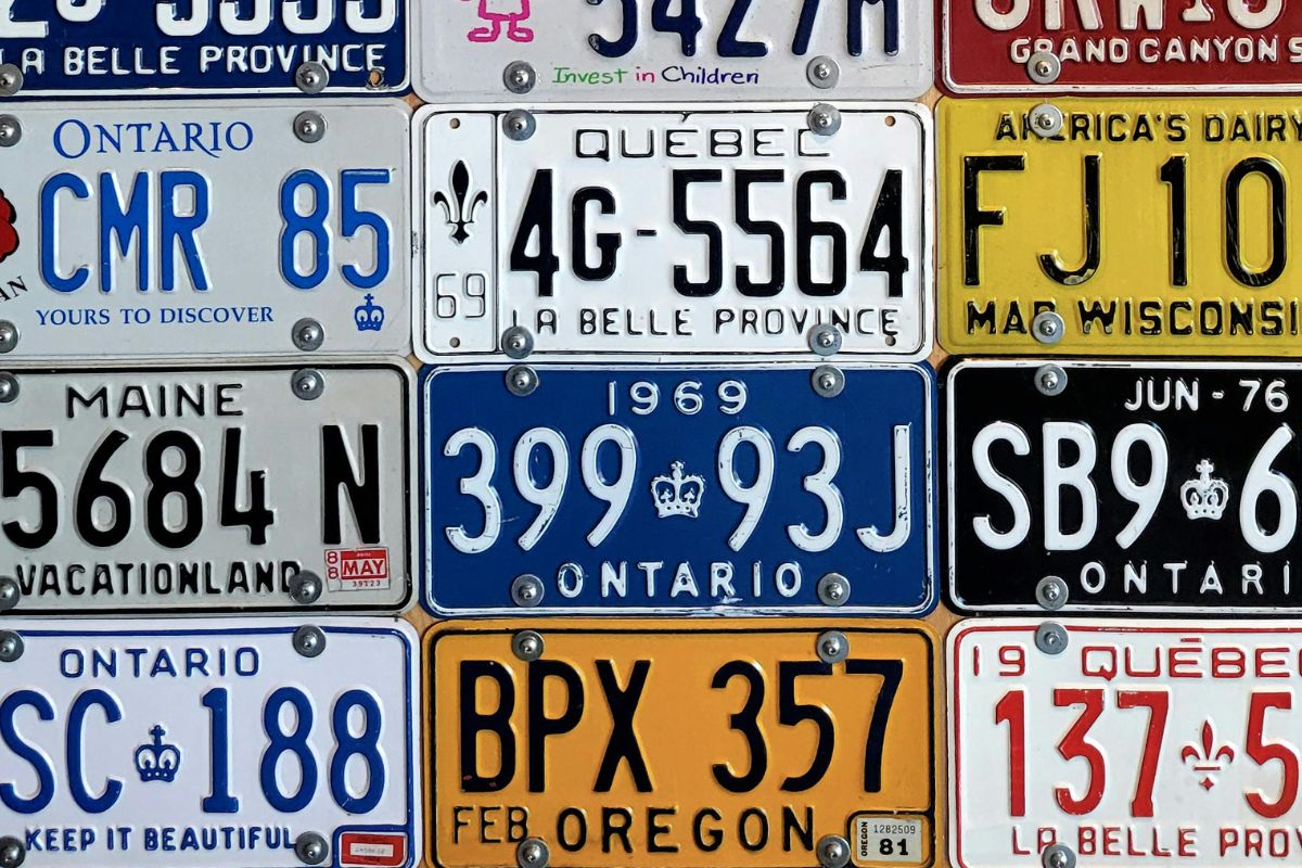 How to Decode a VIN Before Scrapping Your Car in Ontario How to Decode a VIN Before Scrapping Your Car in Ontario