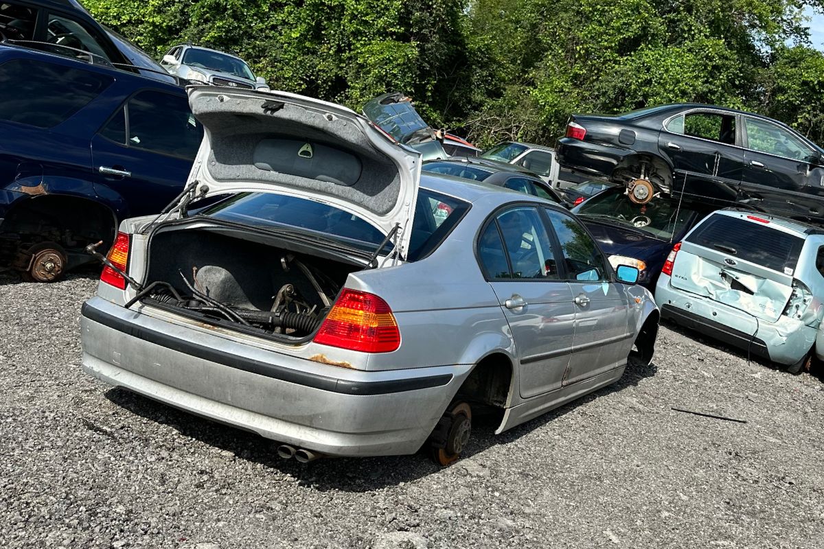 How to Get a Free Vehicle History Report in Canada