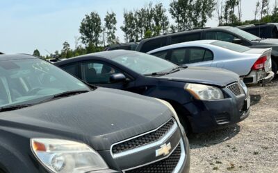 Digital Vehicle Titles in Ontario: What They Mean for Buyers and Sellers