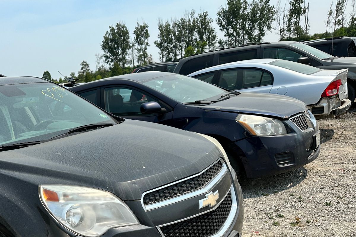 Digital Vehicle Titles in Ontario What They Mean for Buyers and Sellers Digital Vehicle Titles in Ontario What They Mean for Buyers and Sellers