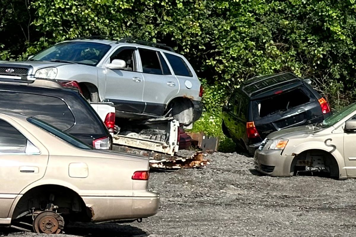 How to Spot and Avoid Counterfeit Car Parts How to Spot and Avoid Counterfeit Car Parts