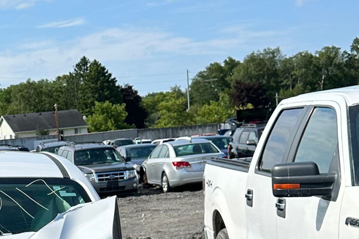 What Happens If You Lose a Car Title in Ontario What Happens If You Lose a Car Title in Ontario