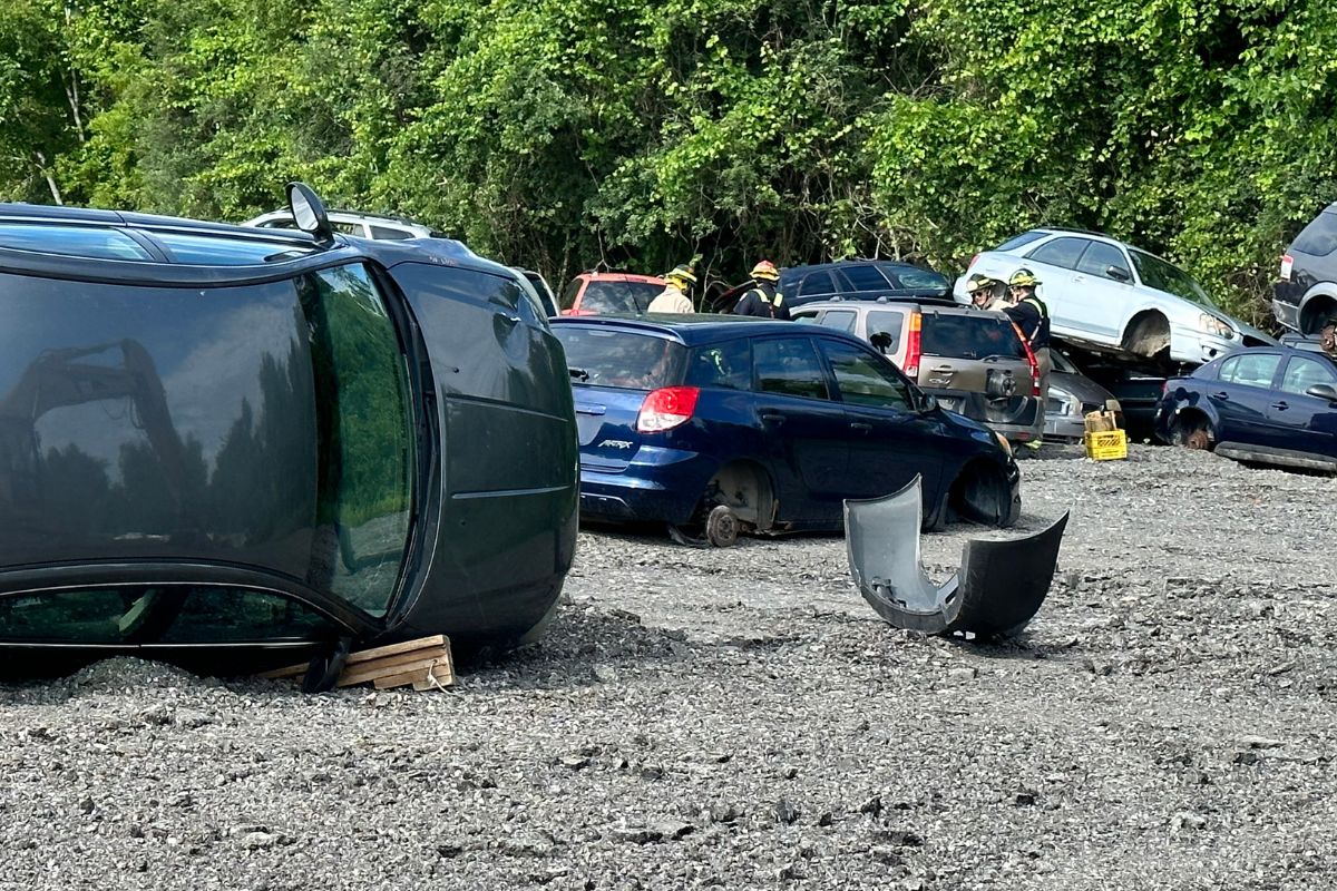 Learn how technology is making car recycling smarter and greener — reducing waste and boosting material recovery in the auto industry.