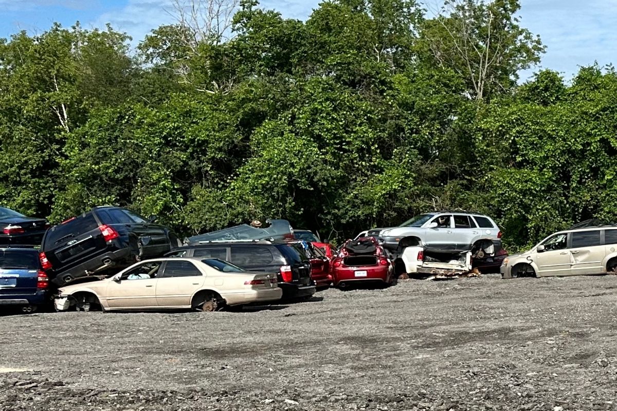 What Documents Do You Get When Scrapping a Car in Ontario